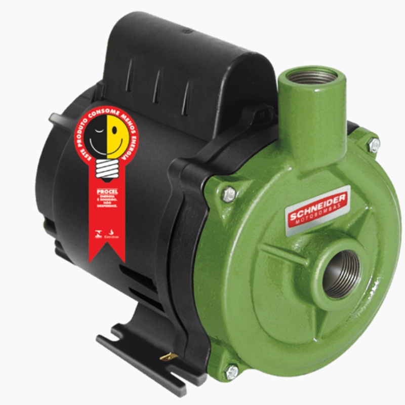 Bomba D'água Centrífuga BC-98 1/3cv 220V - Schneider